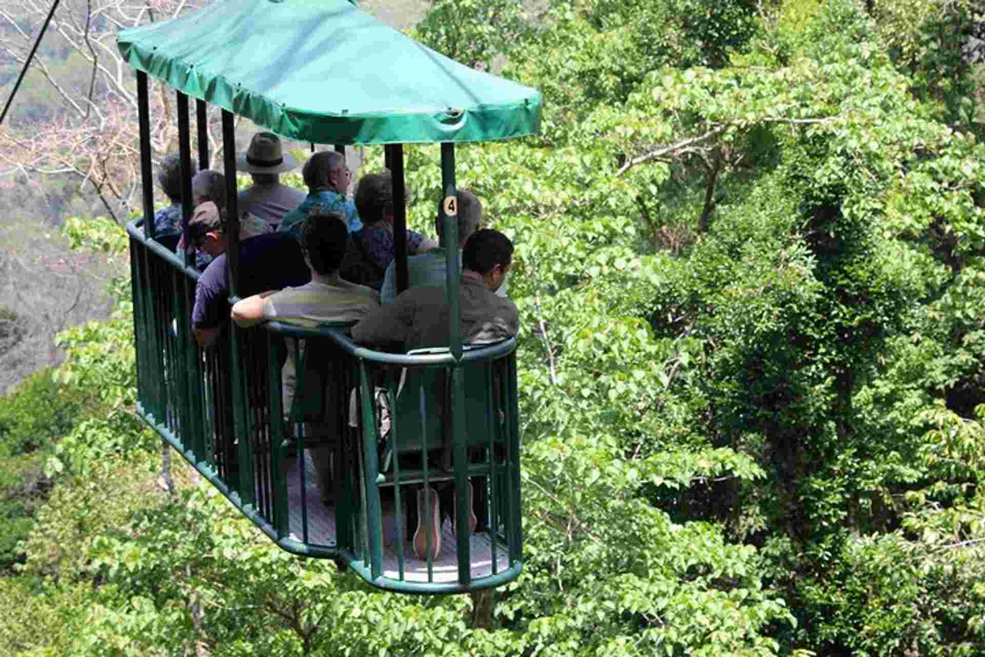 Aerial Tram Tour From Jacó