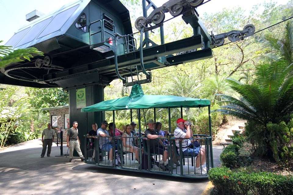 Aerial Tram Tour From Jacó - Destination Services - Costa Rica - Image 2