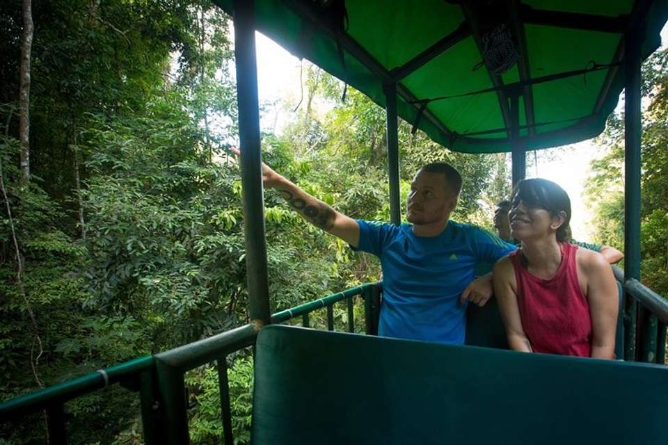 Aerial Tram Tour From Jacó - Destination Services - Costa Rica - Image 4