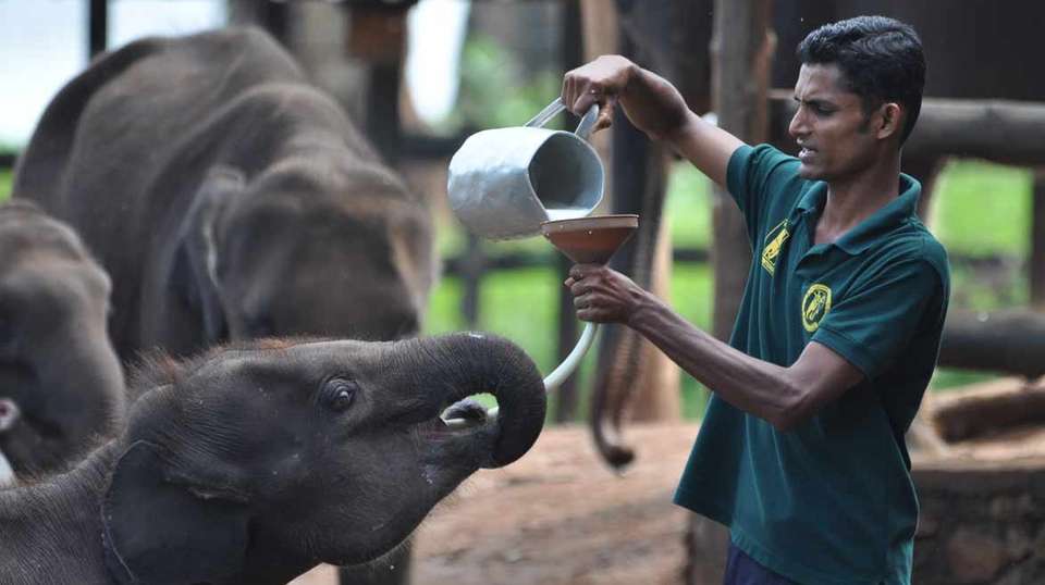 Affordable luxury: Sri Lanka grand tour - Exemplary Voyages Pvt Ltd - Sri Lanka - Image 5