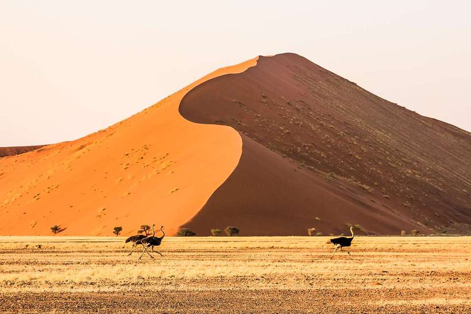 Africa Encompassed Northbound - Intrepid Travel - South Africa - Image 24