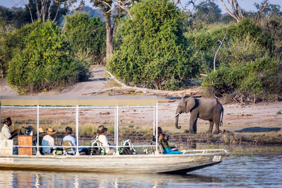 Africa Encompassed Northbound - Intrepid Travel - South Africa - Image 21
