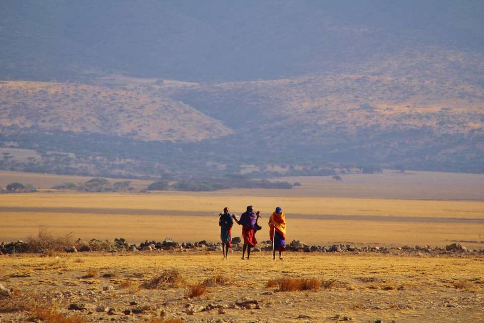 Africa Encompassed Northbound - Intrepid Travel - South Africa - Image 16