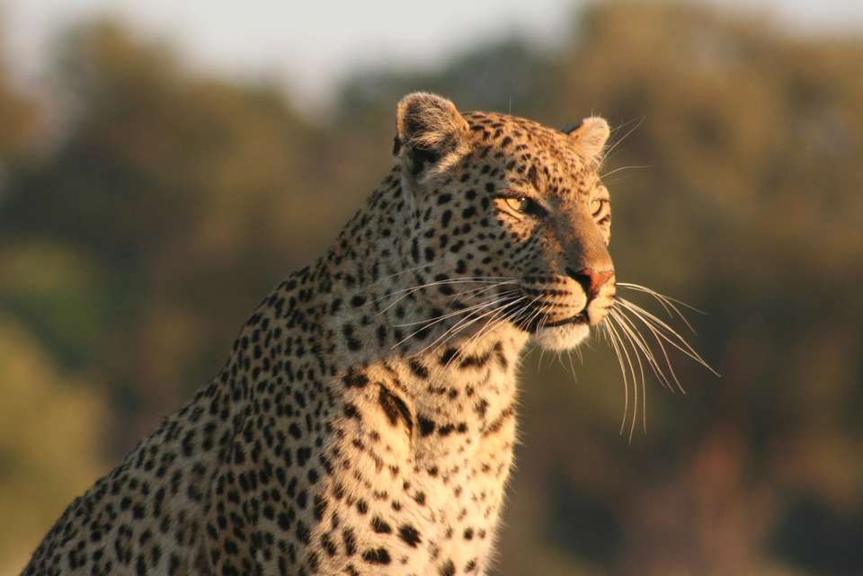 Africa Encompassed Southbound - Intrepid Travel - Kenya - Image 24