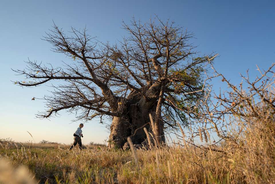 Africa Encompassed Southbound - Intrepid Travel - Kenya - Image 19