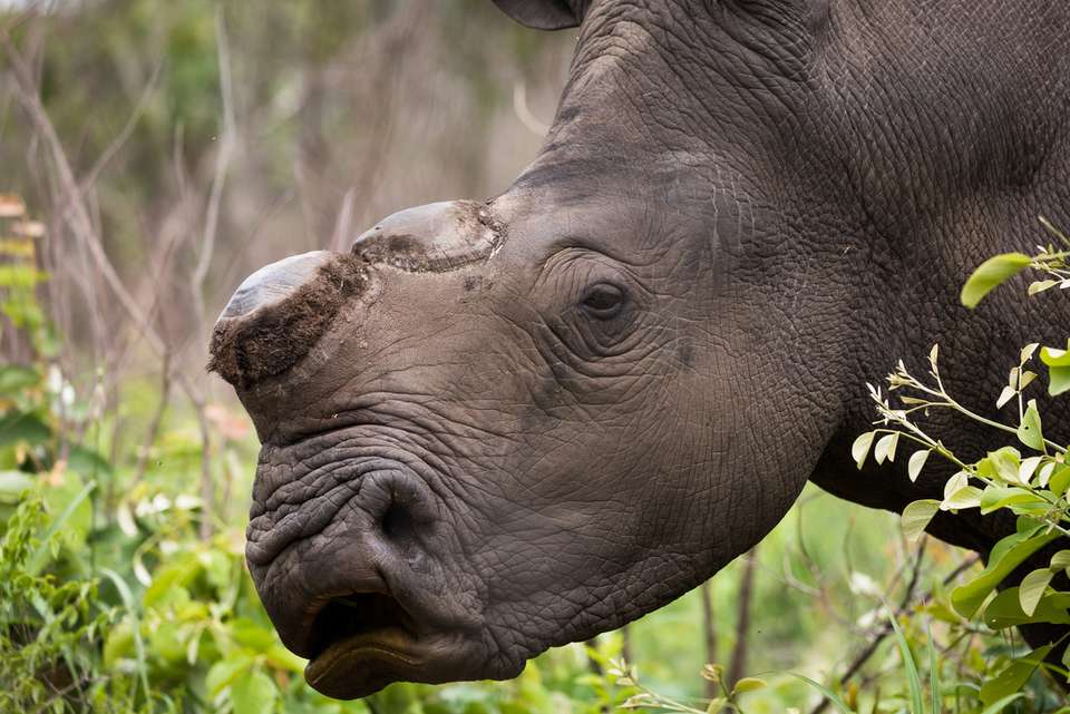 Africa Encompassed Southbound - Intrepid Travel - Kenya - Image 18