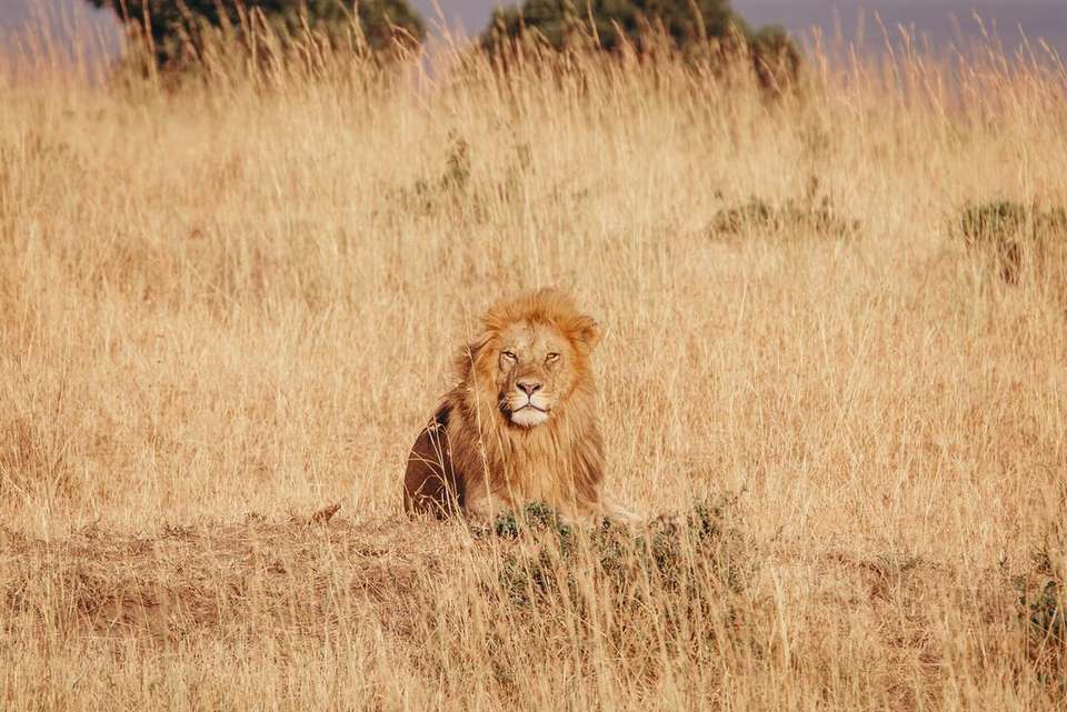 Africa Encompassed Southbound - Intrepid Travel - Kenya - Image 17