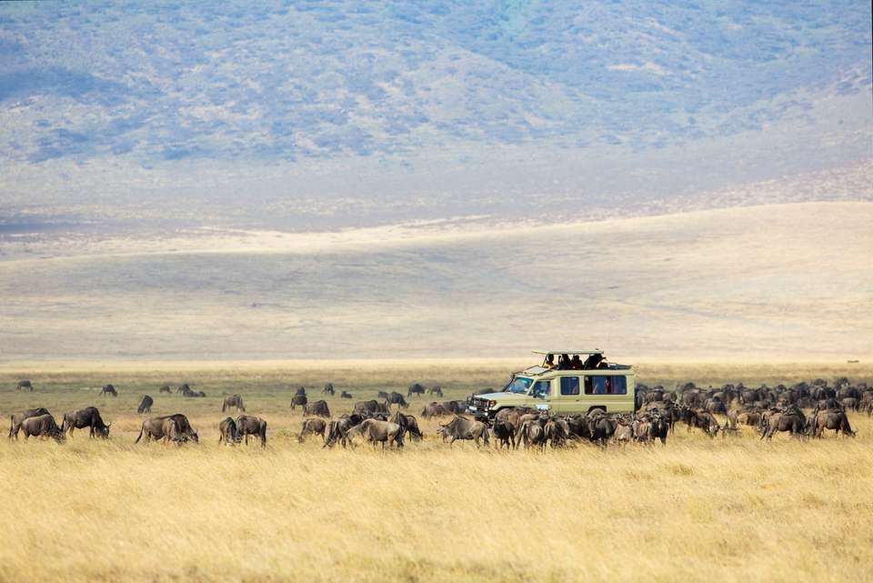Africa Encompassed Southbound - Intrepid Travel - Kenya - Image 14