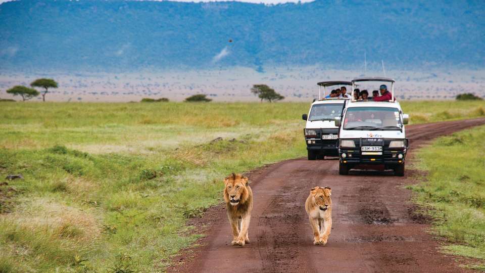 African Safari: Kenya and Tanzania - Collette Tours - Kenya - Image 3