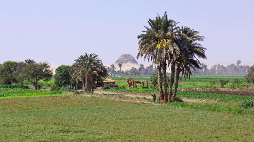 Al Fayoum & Wadi Al Rayan Day Tour from Cairo - Your Egypt Tours - Egypt - Image 3