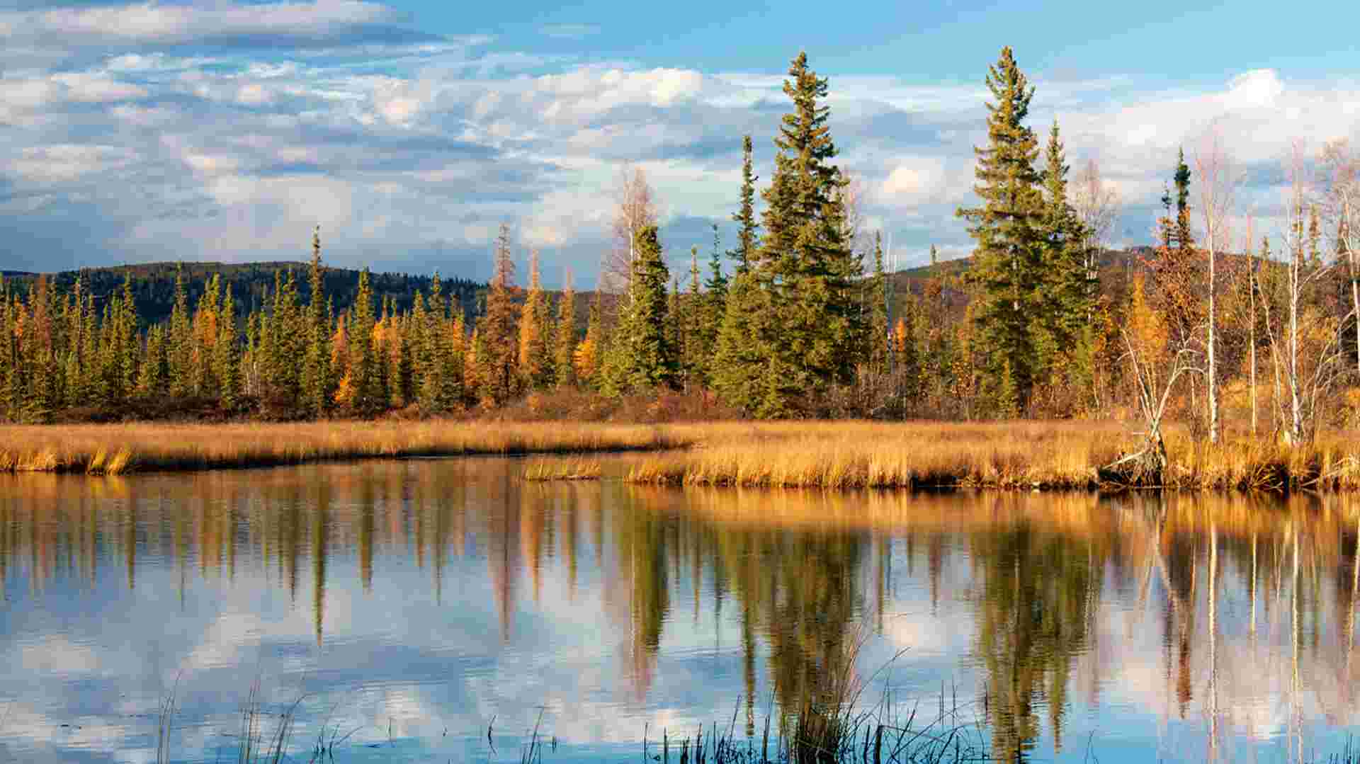 Alaska: America’s Last Frontier