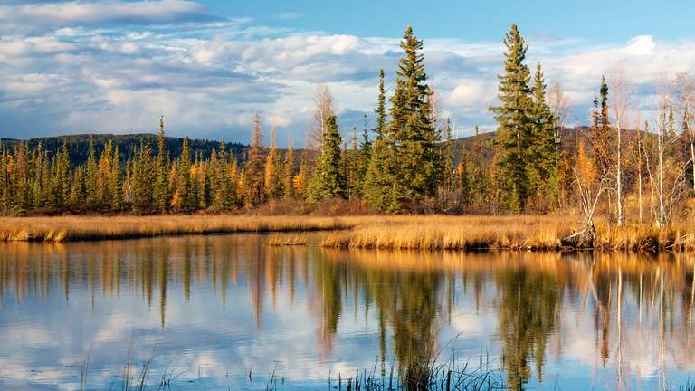 Alaska: America’s Last Frontier  - Spring tours
