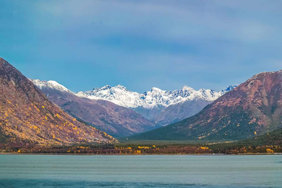 Alaska Discovery - Intrepid Travel - USA - Image 5