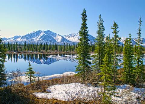 Alaska Discovery Land & Cruise Featuring A 7-night Holland America Cruise - July 2026