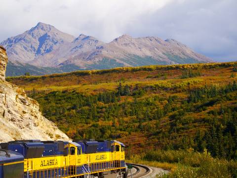 Alaska Discovery Land & Cruise Featuring A 7-night Holland America Cruise