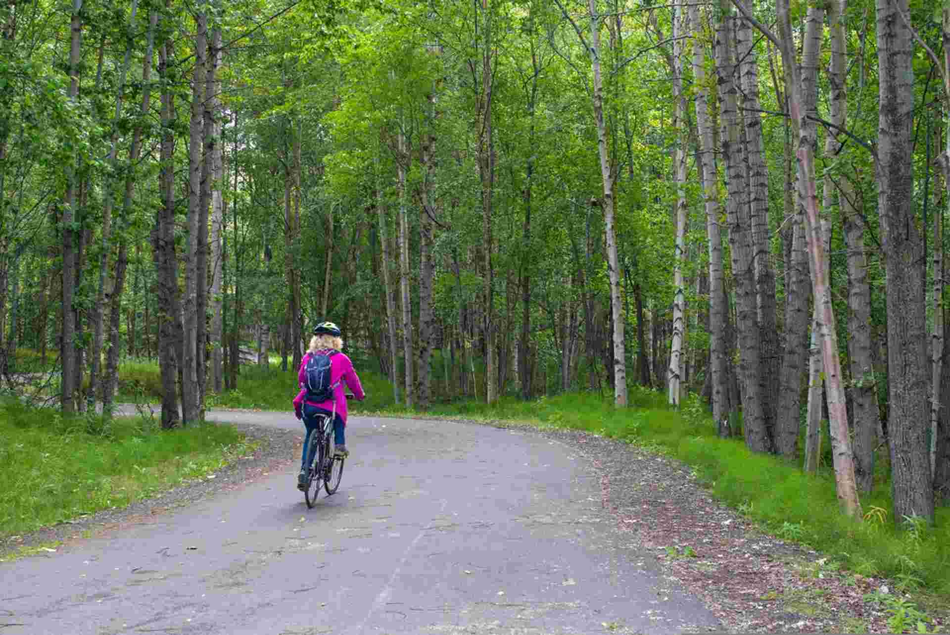 Alaska Hike, Bike & Kayak