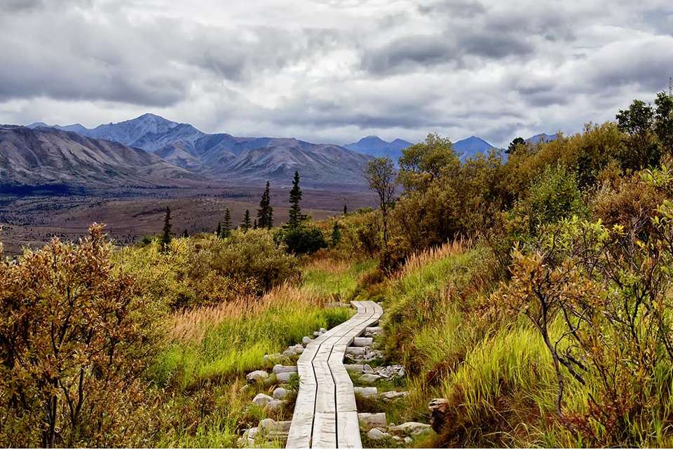 Alaska Hike, Bike & Kayak - Intrepid Travel - USA - Image 5