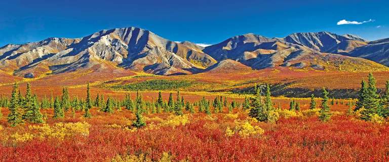 Alaska including the Arctic Circle