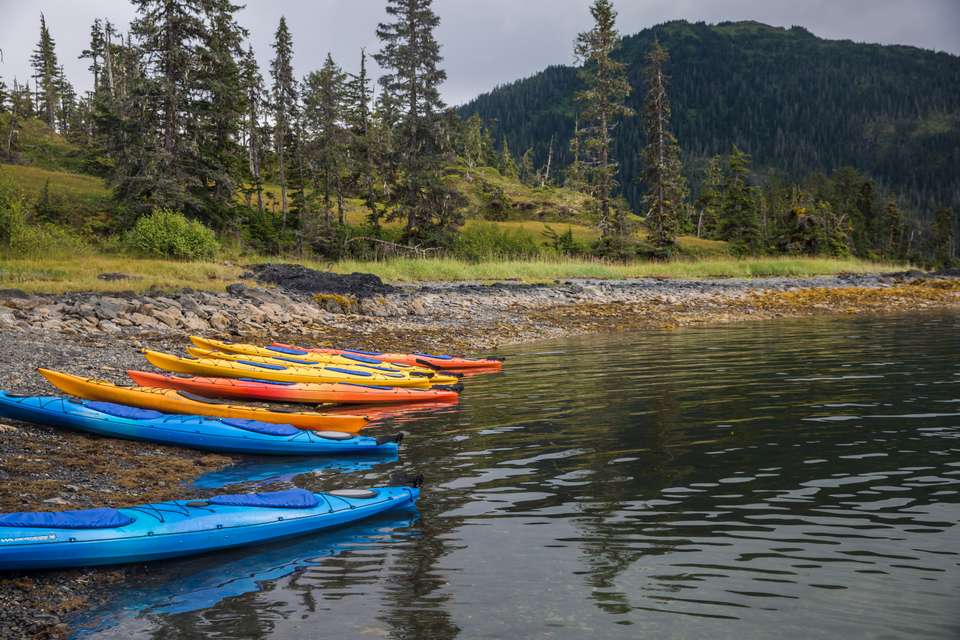 Alaska Kenai & Denali Adventure - G Adventures - USA - Image 9