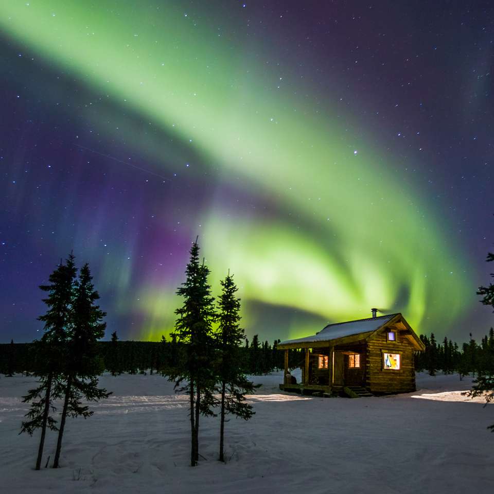 Alaska Northern Lights - Trafalgar - USA - Image 4
