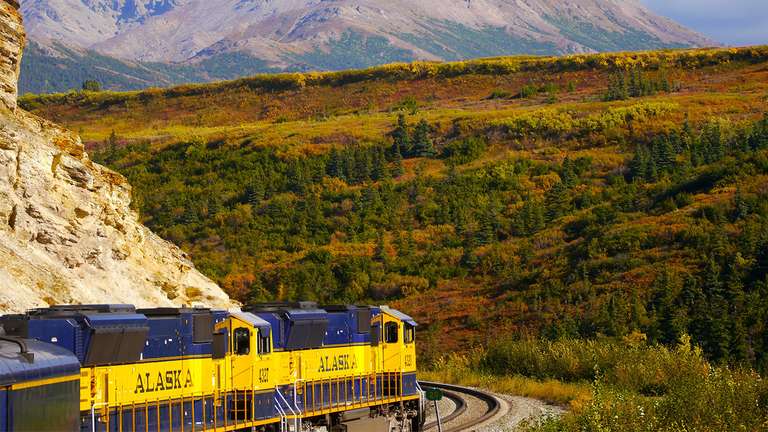 USA Local culture Tour: Alaska's Northern Lights featuring the Alaska Wildlife Conservation Center