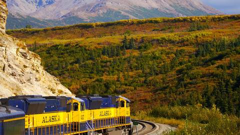 Northern Lights Tour: Alaska's Northern Lights Featuring The Alaska Wildlife Conservation Center