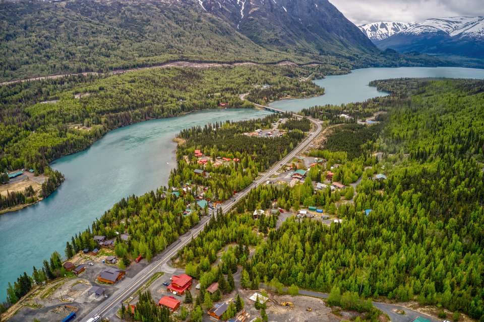 Alaska Wildlife & Wilderness - undefined - Image 19