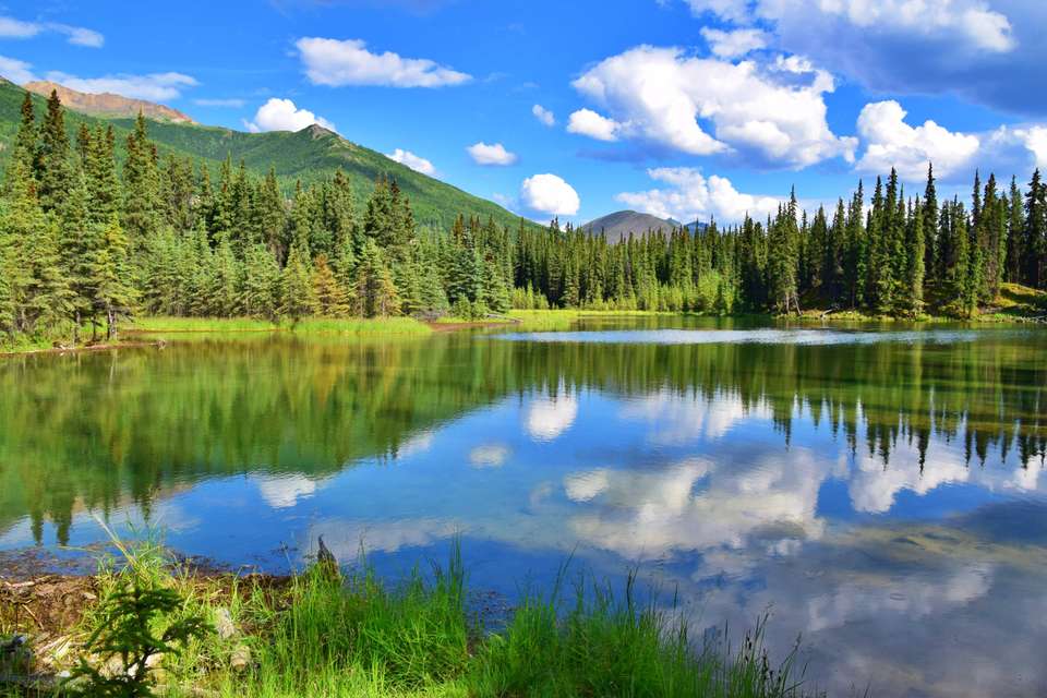 Alaska Wildlife & Wilderness - undefined - Image 18
