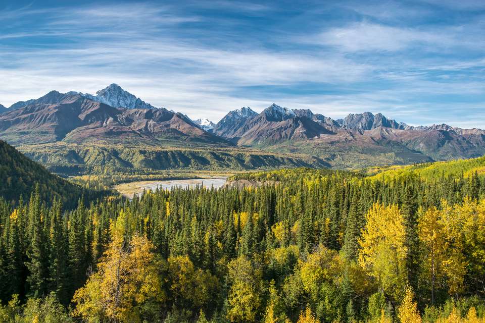 Alaska Wildlife & Wilderness - undefined - Image 16