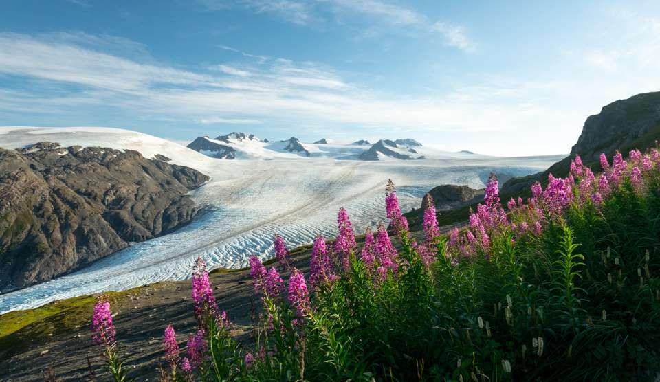 Alaska Wildlife & Wilderness - undefined - Image 9