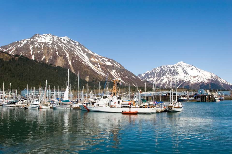 Alaska Wildlife & Wilderness - undefined - Image 8