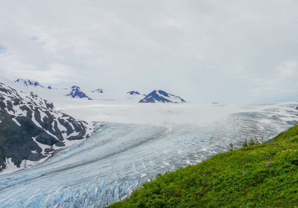 Alaska Wildlife & Wilderness - undefined - Image 6