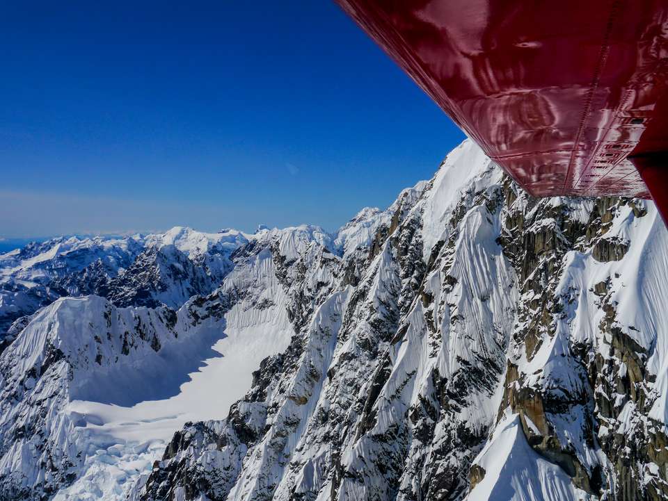 Alaska Wildlife & Wilderness - undefined - Image 5