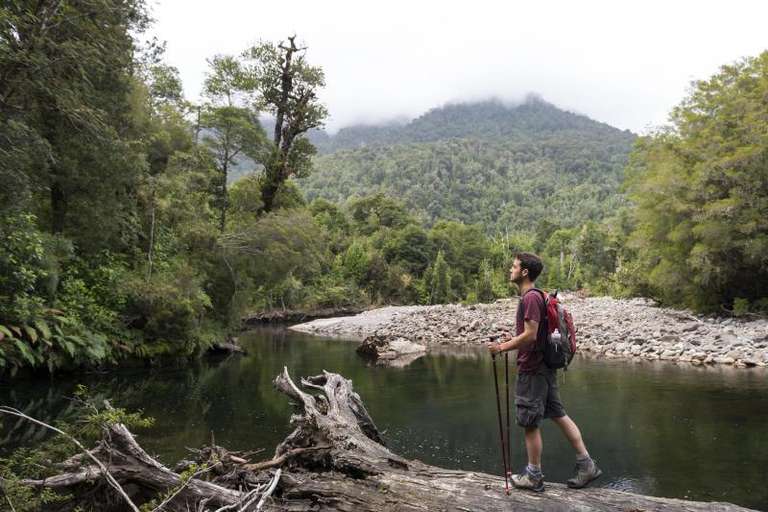 Alerce Ancestral Route & Laguna Chaiquenes: Trek to Alerce Andino NP trip - alternative tour available