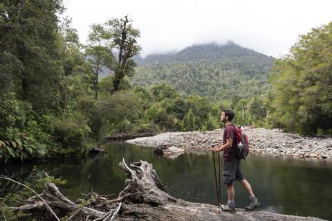 Alerce Ancestral Route & Laguna Chaiquenes: Trek To Alerce Andino Np - August 2026