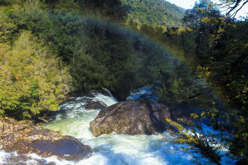 Alerce Ancestral Route & Laguna Chaiquenes: Trek to Alerce Andino NP - Tangol Tours - Chile - Image 3