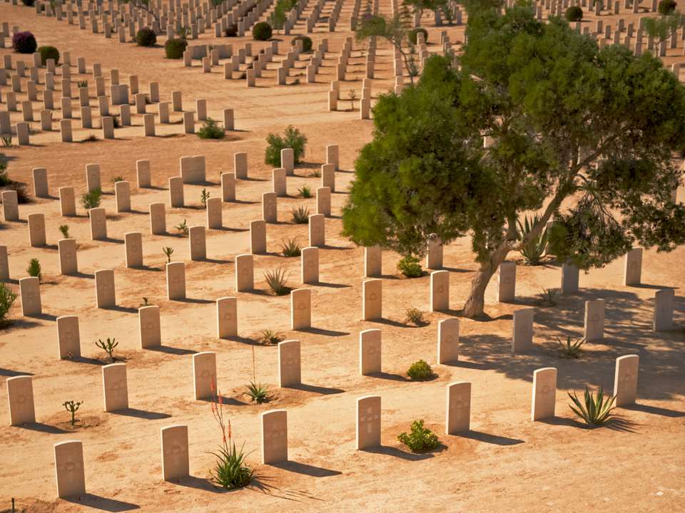 Alexandria, Classical Egypt & Nile Cruise - 14 Days - On The Go Tours - Egypt