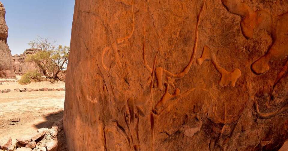 Algeria’s Sahara Desert Adventure - Explore - Algeria - Image 3