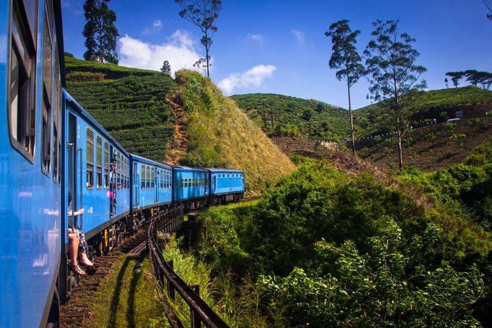 All In One Sri Lanka, Private Tour - Destination Services - Sri Lanka - Image 19