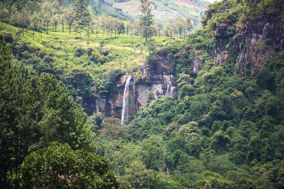 All In One Sri Lanka, Private Tour - Destination Services - Sri Lanka - Image 15