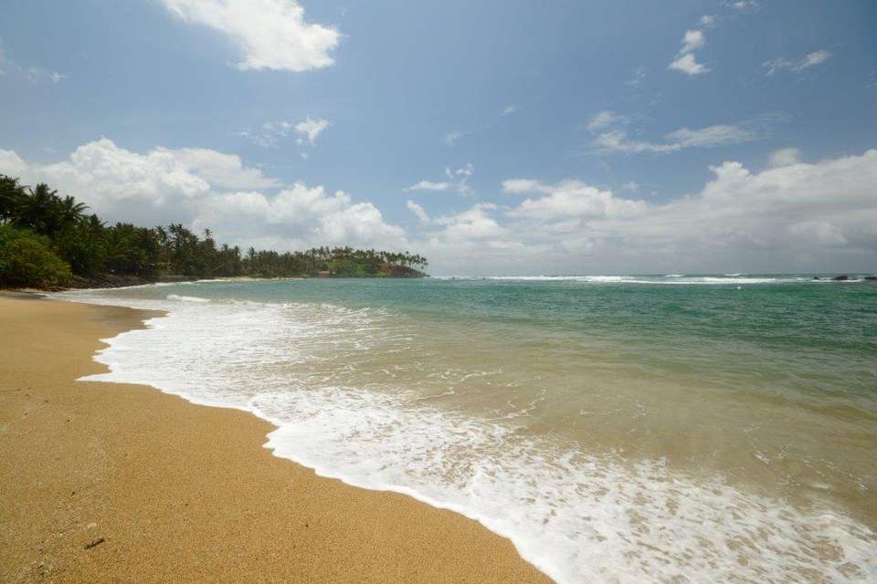 All In One Sri Lanka, Private Tour - Destination Services - Sri Lanka - Image 13
