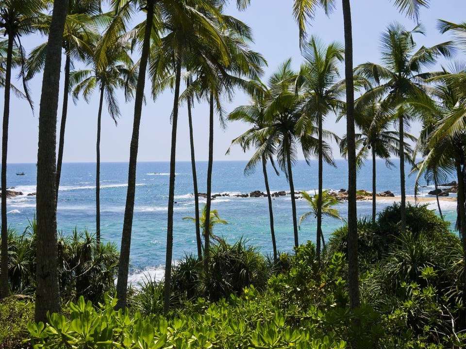 All In One Sri Lanka, Private Tour - Destination Services - Sri Lanka - Image 12