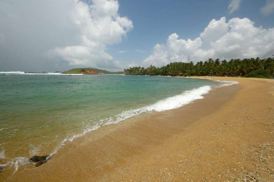 All In One Sri Lanka, Private Tour - Destination Services - Sri Lanka - Image 10