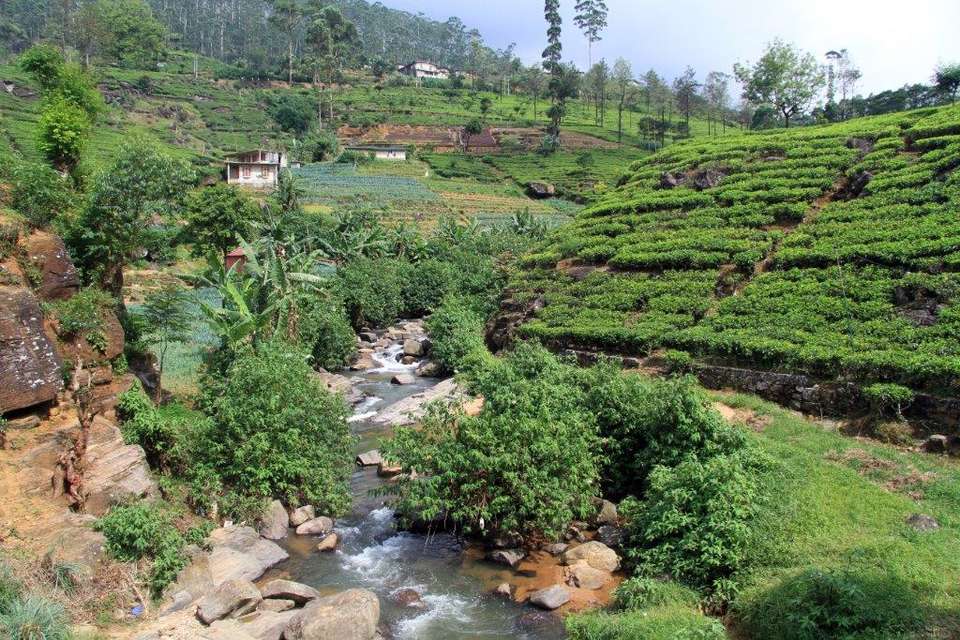 All In One Sri Lanka, Private Tour - Destination Services - Sri Lanka - Image 6