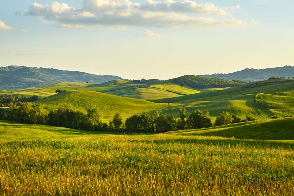 All'italiana - undefined - Image 10