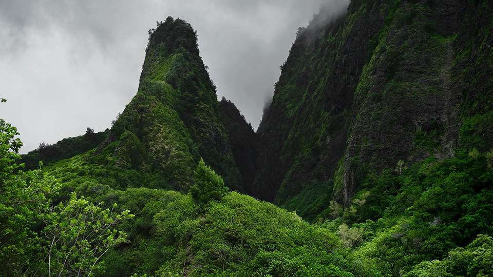 Aloha Hawaii Discovering Kauai and Maui - Collette Tours - USA - Image 3