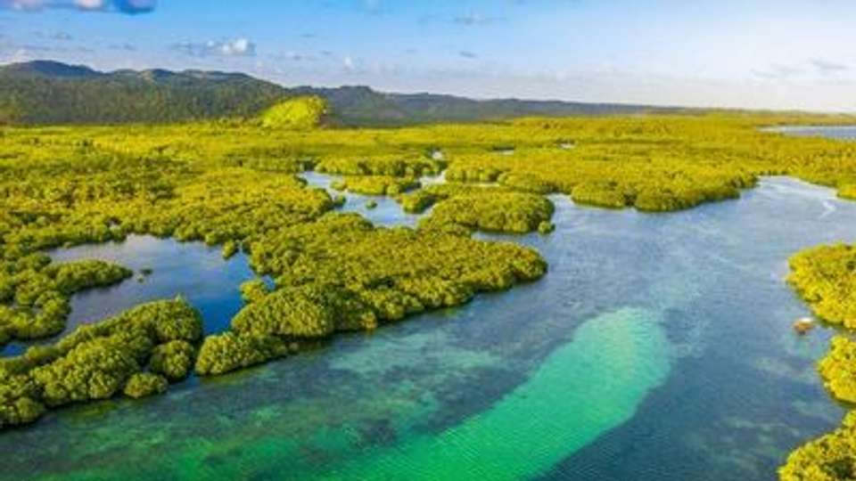 Along the Amazon and the Rio Negro - An Exclusive Cruise through Pristine and Hidden Nature - An exceptional stay at Iguazu Falls (port-to-port cruise) - undefined - Image 7