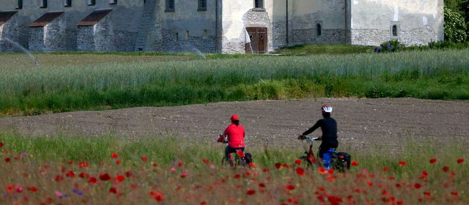 Alpine Rhine Cycle - Utracks - Germany - Image 6