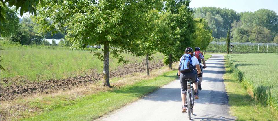 Alpine Rhine Cycle - Utracks - Germany - Image 7