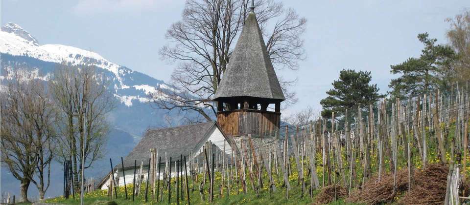 Alpine Rhine Cycle - Utracks - Germany - Image 8